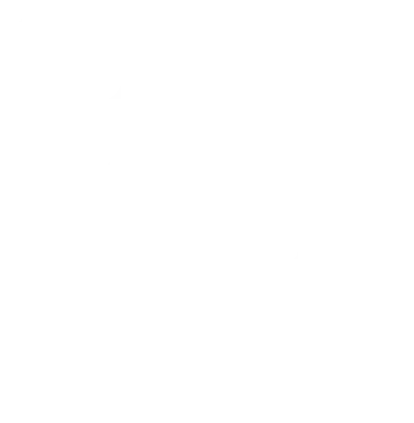 logo peer br